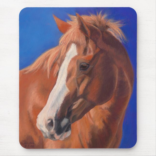 Paddington av Jennifer Mitchell Musmatta (Framsidan)