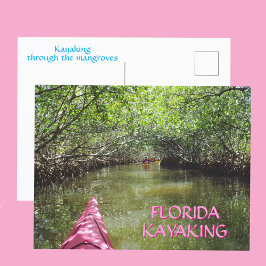Paddla genom mangroven Florida-äventyr Vykort