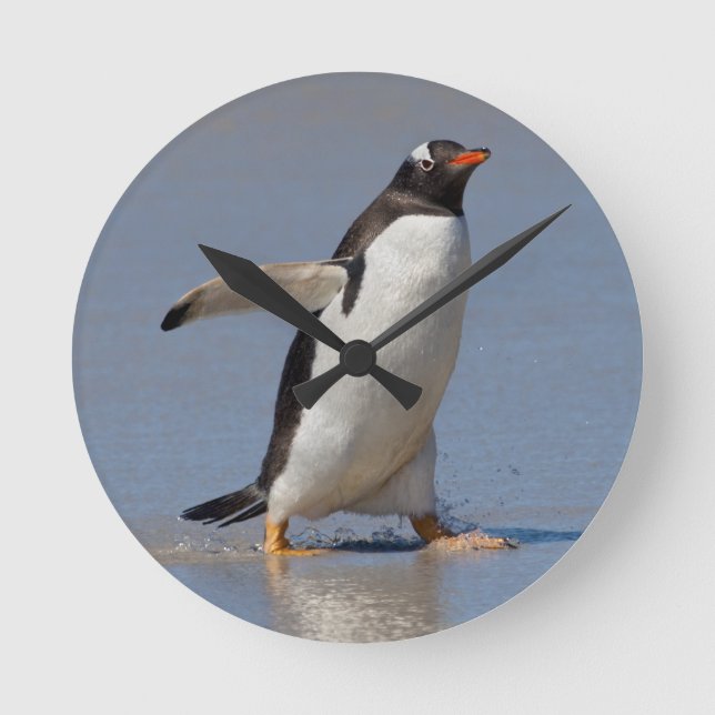 Paddla Gentoo ta tid på Rund Klocka (Framsida)