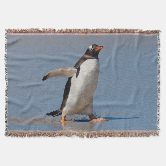 Paddling Gentoo Kastfilt Filt (Framsidan)
