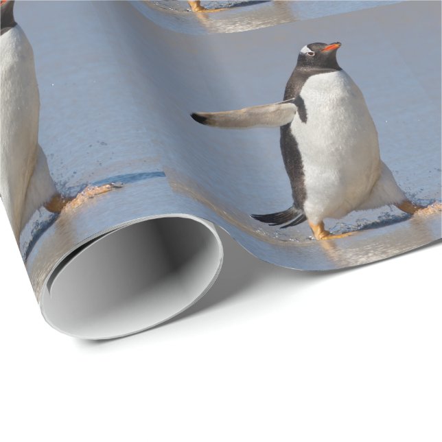 Paddling Gentoo Presentpapper (Rullad Hörn)