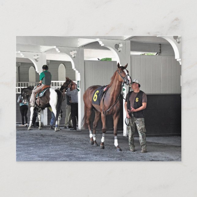 Paddock i Belmont Park Vykort (Framsida)