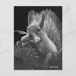 Paddy Cake, Ekorre Vykort