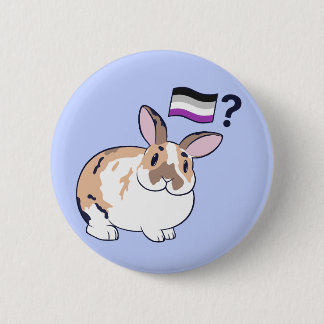 Paddy Pride Badge (Asexuell) Knapp