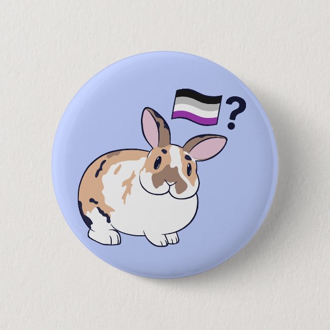 Paddy Pride Badge (Asexuell) Knapp (Framsida)