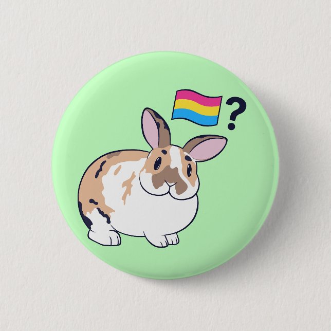 Paddy Pride Badge (Pansexual) Knapp (Framsida)
