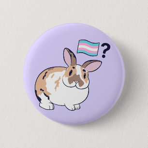 Paddy-Pride-märke (Transgender) Knapp