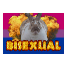 Paddy-Pridet Poster (Bisexual) Perfect Poster