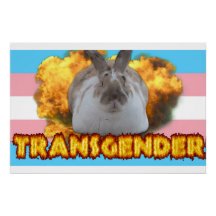 Paddy-Pridet Poster (Transgender)