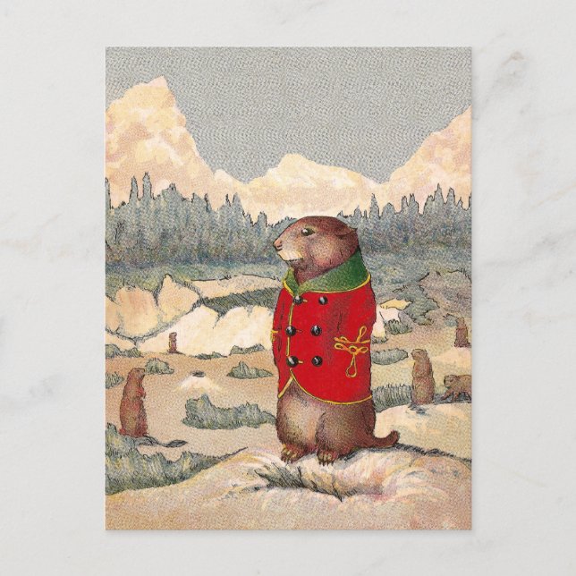 Paddy Tassar i Prairie Hund Town Vykort (Framsida)