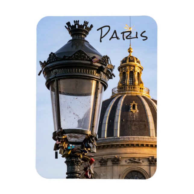 Padlocks i kärlek på Pont des artits i Paris Magnet (Vertikal)