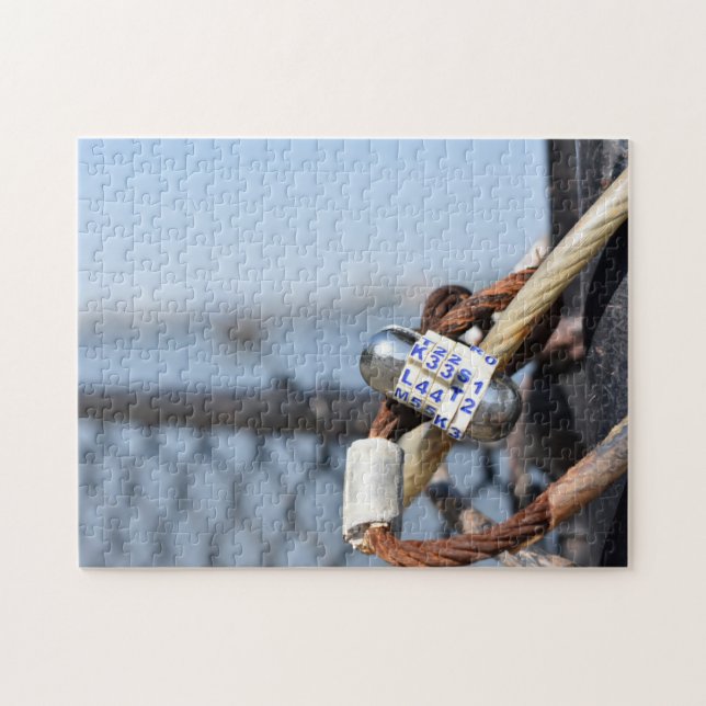 Padlocks Riverside Park Hudson River New York City Pussel (Horisontell)