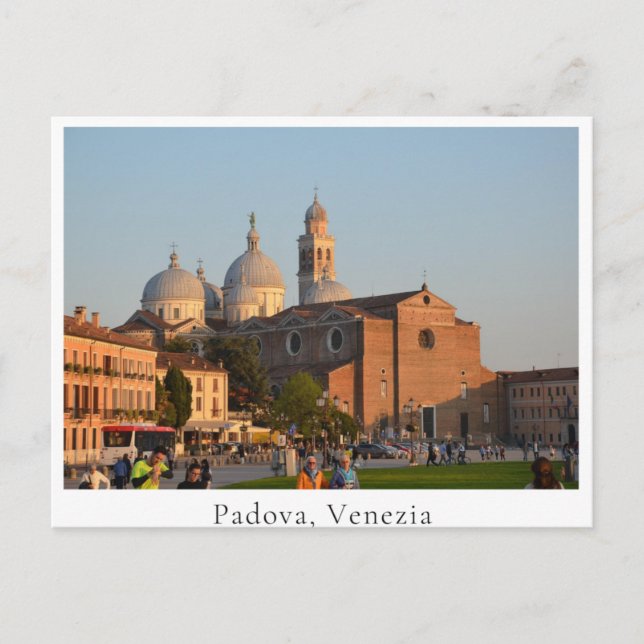Padova Cathedral (Padova, Venezia) Vykort (Framsida)