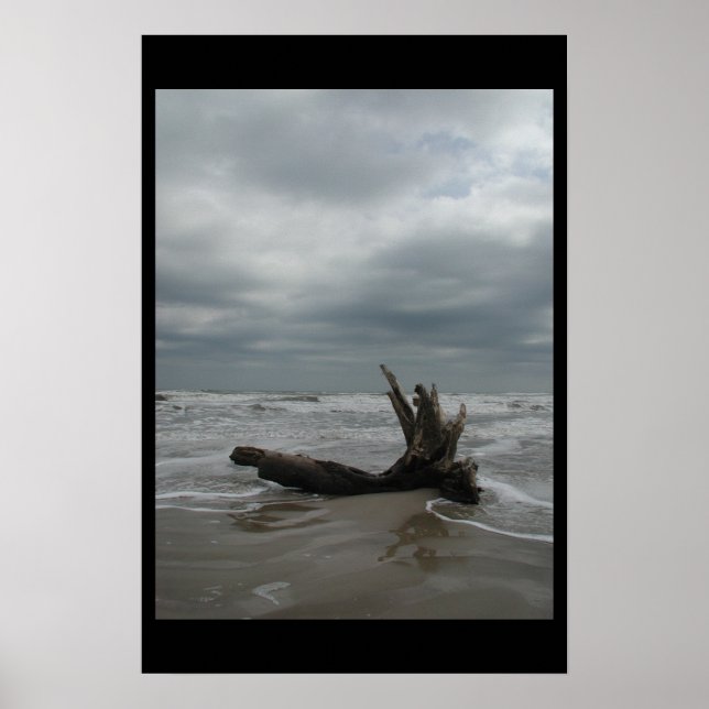 Padre Island - januari 2004 Poster (Framsidan)