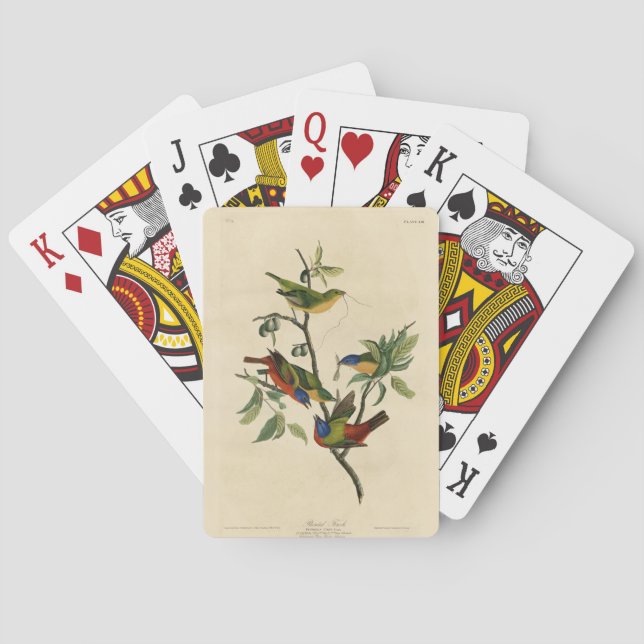 Paematch (Bunting) Audubon's Birds of America Casinokort (Baksidan)