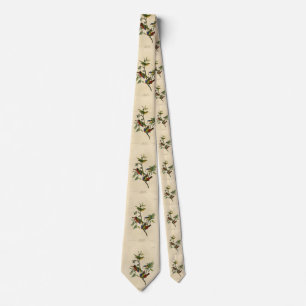 Paematch (Bunting) Audubon's Birds of America Slips