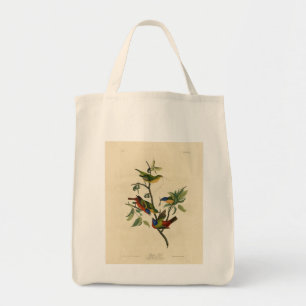 Paematch (Bunting) Audubon's Birds of America Tygkasse