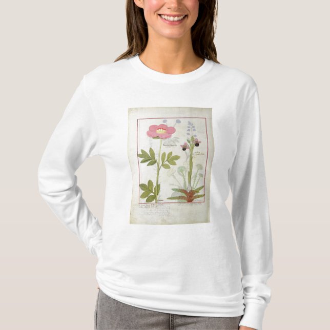 Paeonia- eller pion och Orchis myanthos T Shirt (Framsida)