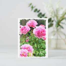Paeonia"Seidai" [Postkort] ポ ス ト カ ー Vykort