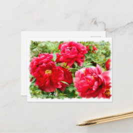 Paeonia"Taiyo" [Postcard] ポ ス ト カ ー Vykort