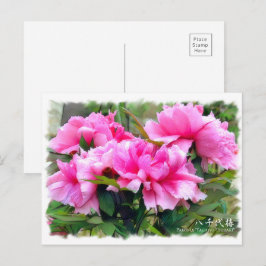 Paeonia"Yachiyo-Tsubaki" [Postkort] ポ ス ト カ ー Vykort