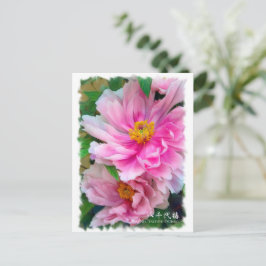 Paeonia"Yachiyo-Tsubaki" [Postkort] ポ ス ト カ ー Vykort