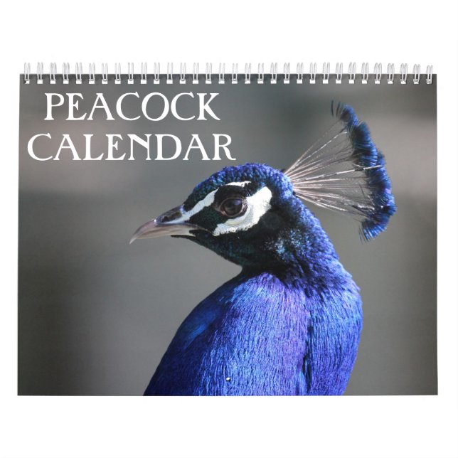 Påfågel 2027 kalender (Omslag)