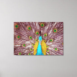 påfågel fjädrar canvas