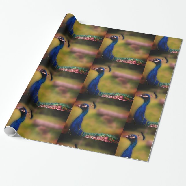 Påfågel Foto Matta Inpackningspapper Presentpapper (Utrullad)