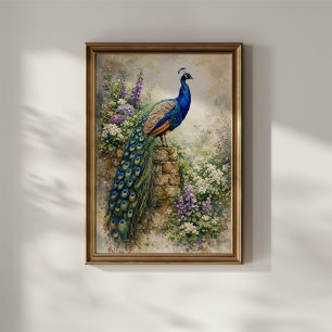 Påfågel i blomsterträdgård poster
