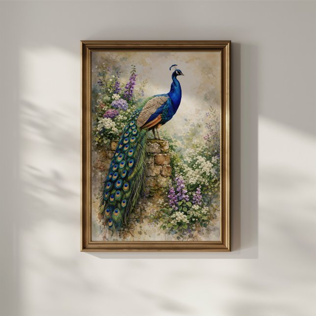 Påfågel i blomsterträdgård poster (Skapare uppladdad)