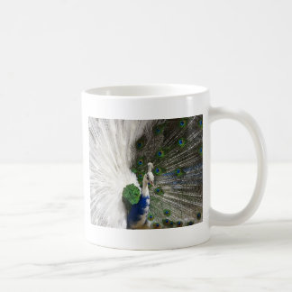 Påfågel Kaffemugg
