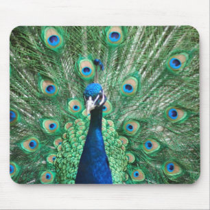 Påfågel Mousepad Musmatta