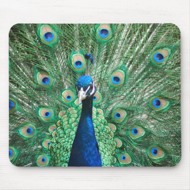 Påfågel Mousepad Musmatta (Framsidan)
