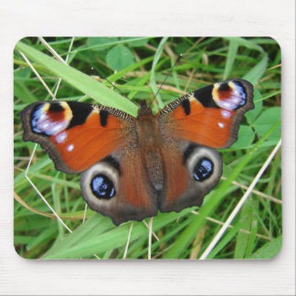 Påfågel Mousepad Musmatta