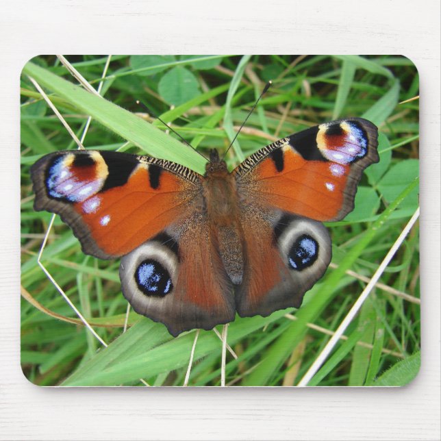 Påfågel Mousepad Musmatta (Framsidan)