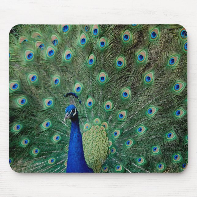 Påfågel mousepad musmatta (Framsidan)