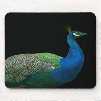 Påfågel Mousepad Musmatta