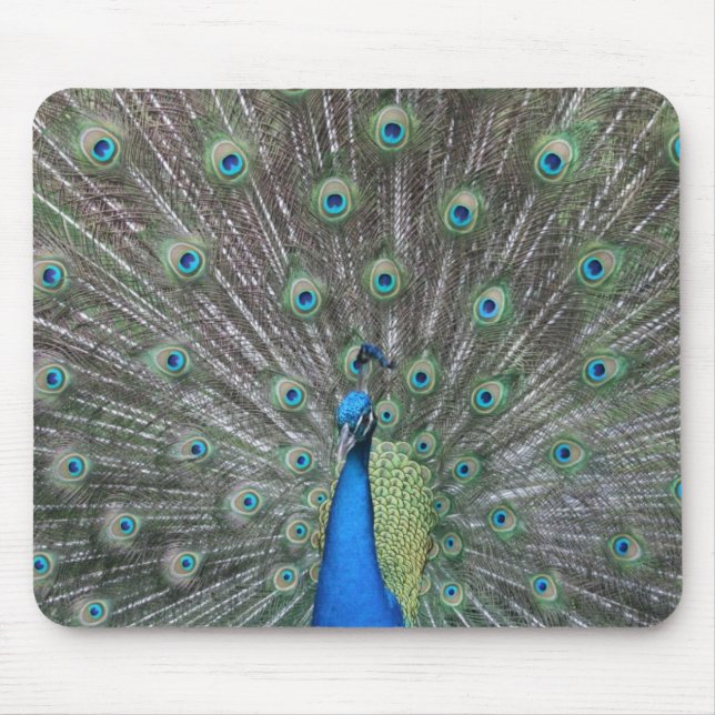 Påfågel Mousepad Musmatta (Framsidan)