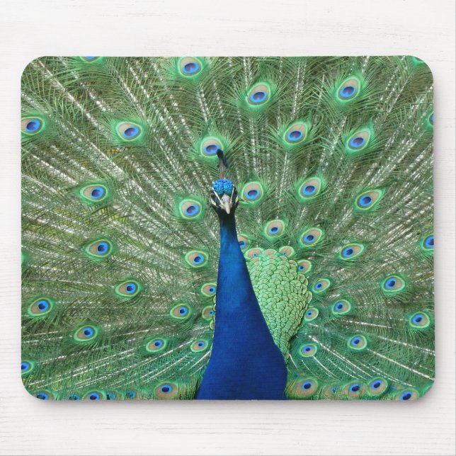 Påfågel Mousepad Musmatta (Framsidan)