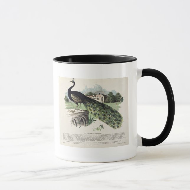 Påfågel Mugg (Höger)