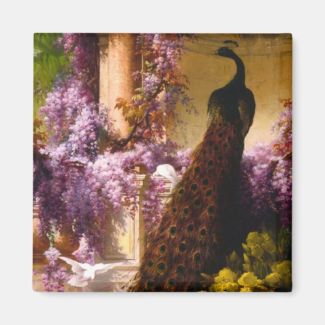 Påfågel och duvor i en trädgård magnet (Framsidan)