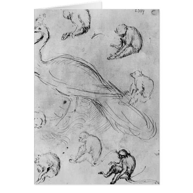 Påfågel och sex apor hälsningskort (Framsidan)