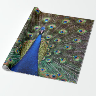 Påfågel Presentpapper