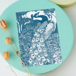 Påfågel Rädda Datum Meddelande Vykort