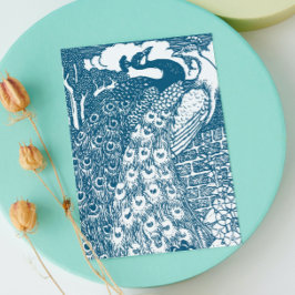 Påfågel Rädda Datum Meddelande Vykort