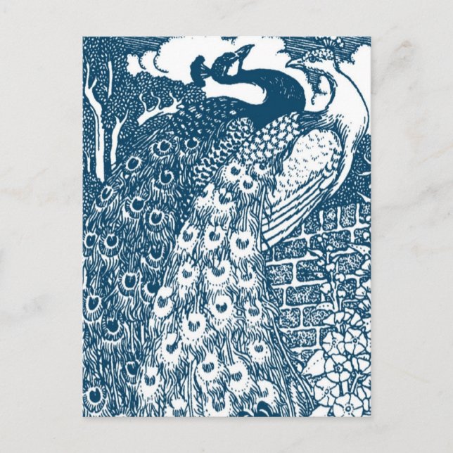 Påfågel Spara datumet Meddelande Vykort (Framsida)