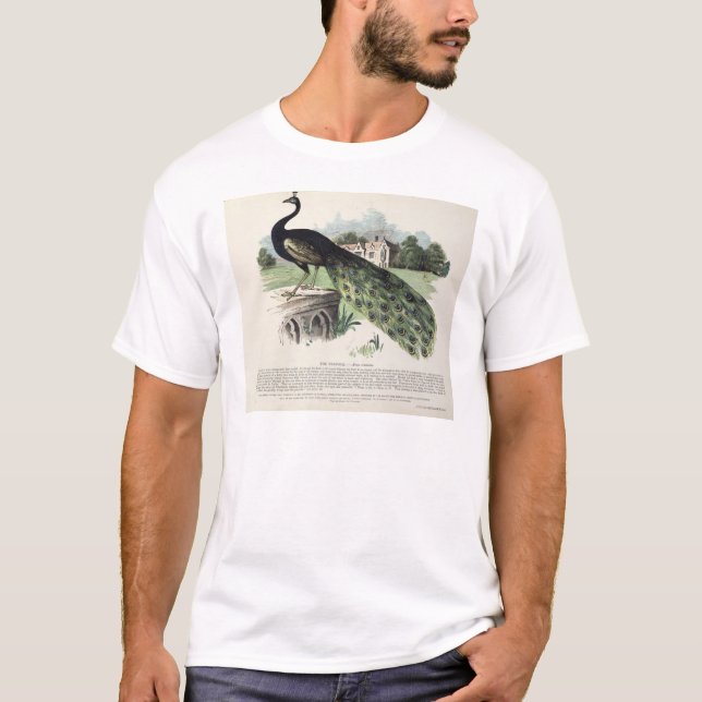 Påfågel Tee (Framsida)