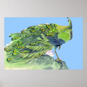 Påfågelanseendeaffisch som drar 2 poster