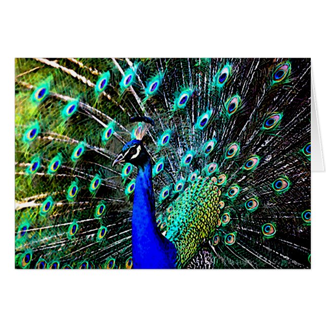 PåfågelBatik 2 (det tomma kortet) Hälsningskort (Framsidan Horizontal)